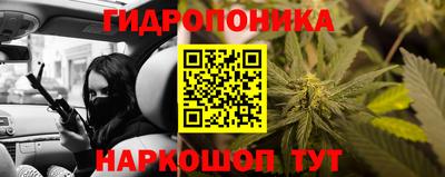 мдпв Гагарин