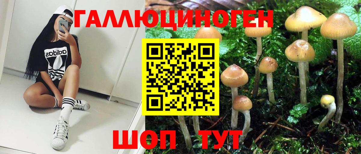 Псилоцибиновые грибы Psilocybe Назарово